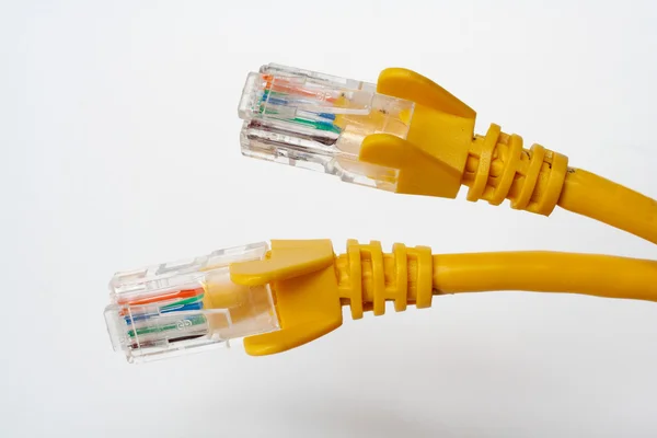 Dois cabos de rede — Fotografia de Stock