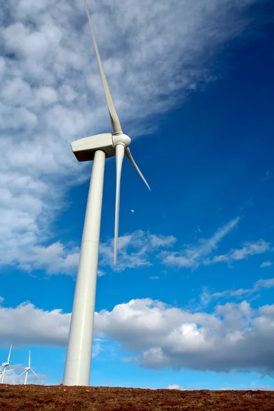 Wind turbines — Stock Photo, Image