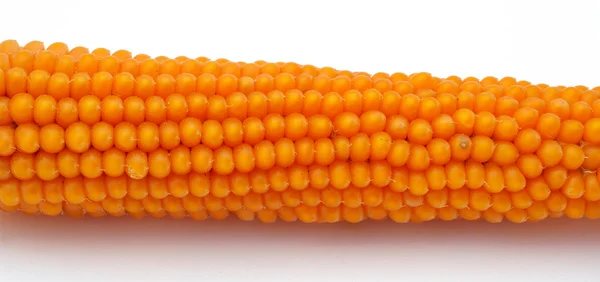 Corn Background — Stock Photo, Image