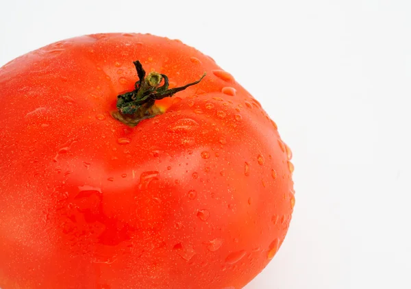 Pomodoro con goccioline d'acqua, macro su bianco — Foto Stock