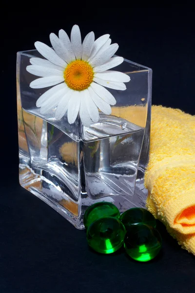 花瓶とお風呂の真珠でデイジー — ストック写真