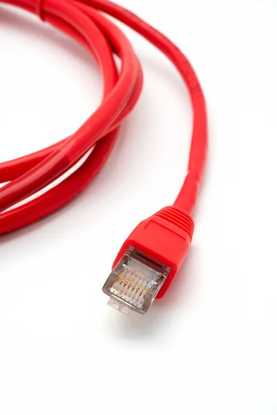 2 개의 빨간 네트워크 케이블 절연 — 스톡 사진