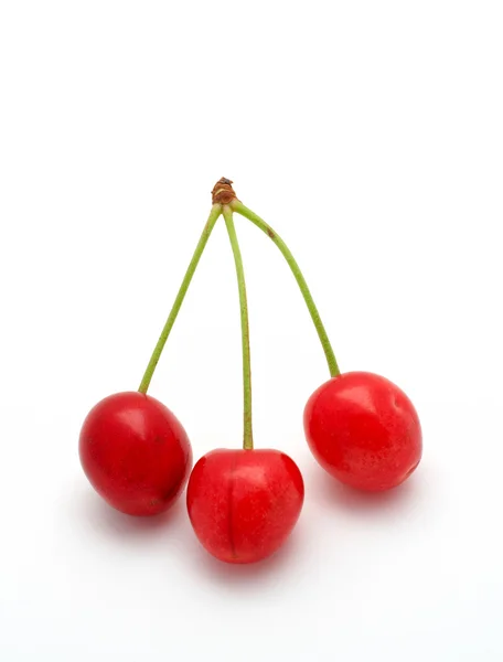 Three cherries on white background — Stock Photo, Image