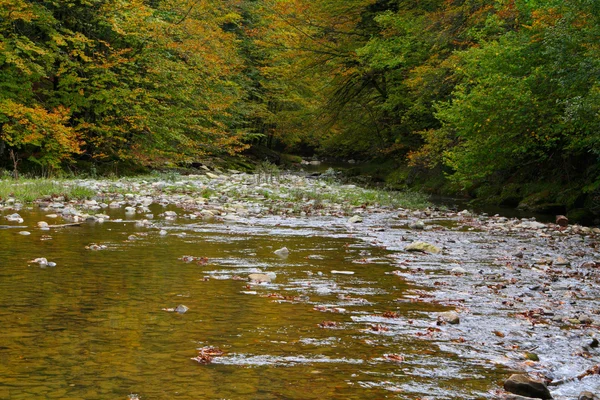 Gebirgsfluss im Herbst — Stockfoto