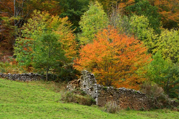 Old walls in autumn — Stock Photo, Image