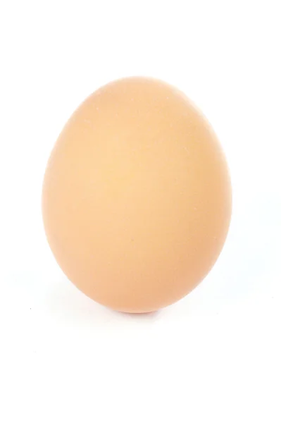 Enda ägg — Stockfoto