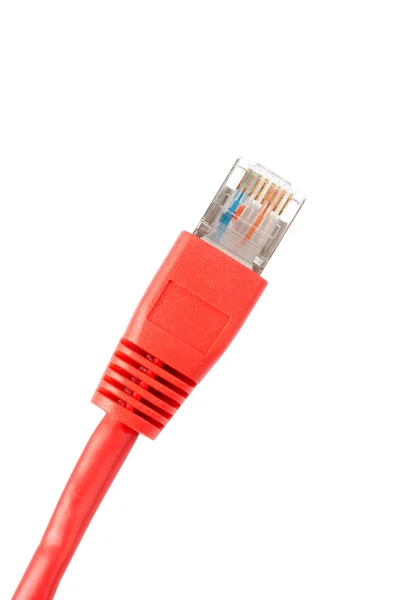 赤いネットワーク ケーブル — ストック写真