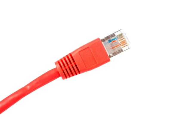 Rode netwerkkabel, geïsoleerd — Stockfoto