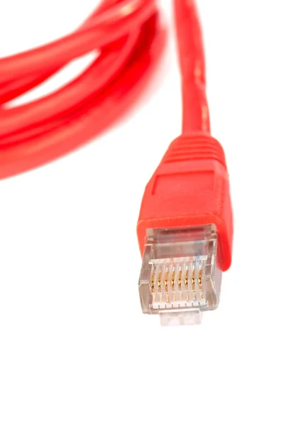 Red network cable — Stock Photo, Image
