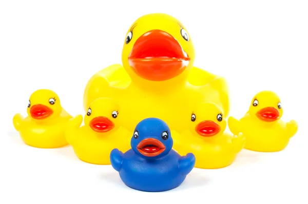Família dos patos de borracha — Fotografia de Stock