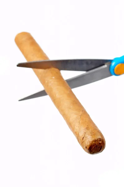 Резать кубинскую сигару — стоковое фото
