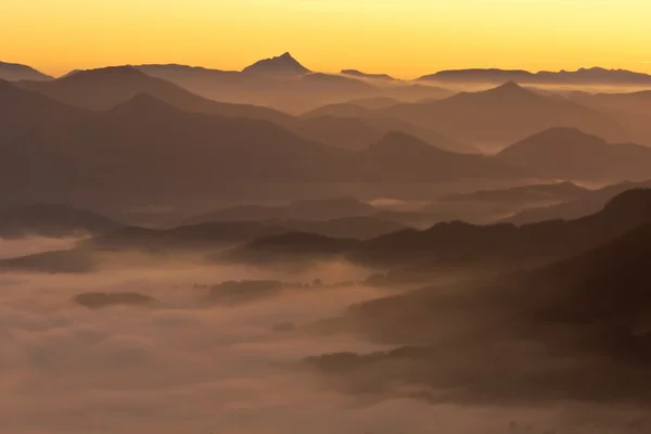 Горы над туманом — стоковое фото