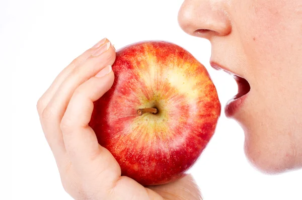Just to eat — Stock Photo, Image