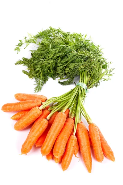 Bouquet de carottes fraîches — Photo