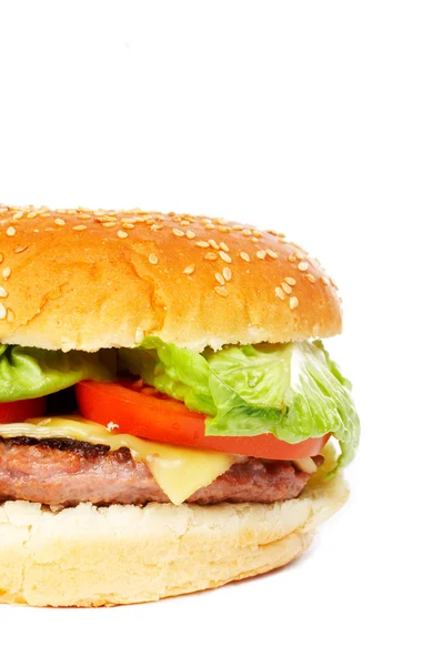 Sýr burger — Stock fotografie