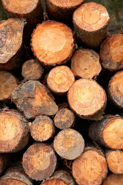Logs stacked background — Stock Photo, Image