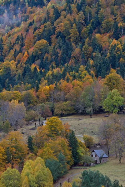 Berghütte im Nationalpark — Stockfoto