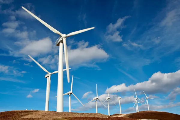 Wind turbines farm Stock Photo