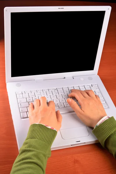 Donna che lavora sul computer portatile Immagine Stock