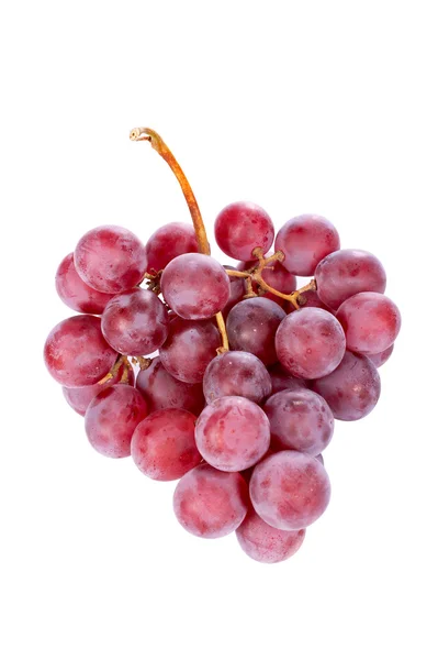 Vörös szőlő csomó Stock Kép