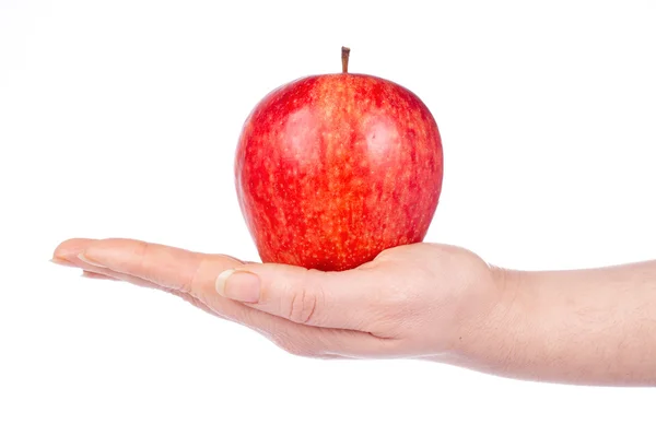 Ett rött äpple i handen Royaltyfria Stockbilder