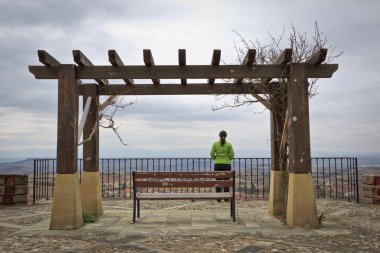 Lonely woman looking at the landscape clipart