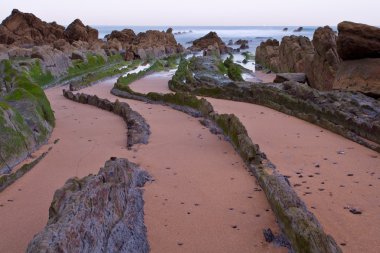 güzel sahil şeridi