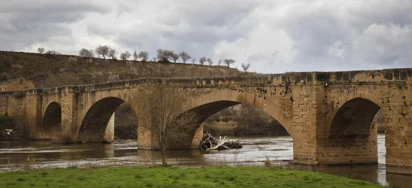 Puente medieval, río Ebro — Foto de Stock
