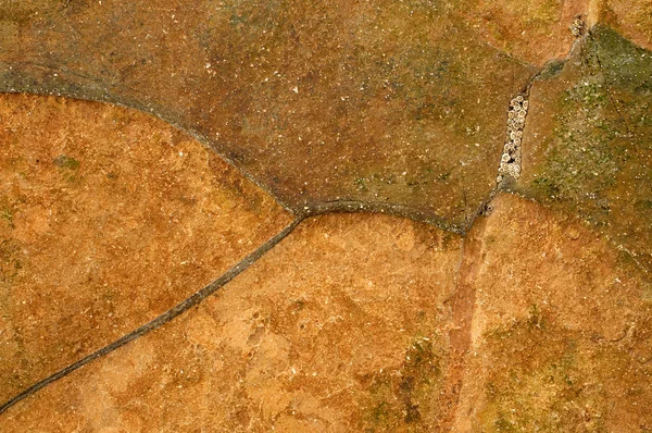Soyut arkaplan — Stok fotoğraf