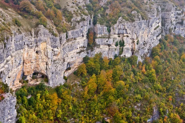Herbstfarben bedecken den Berg — Stockfoto