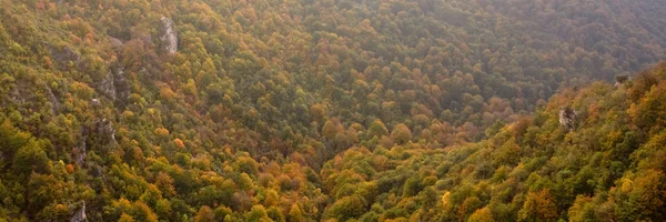 As cores dos outonos cobrem o vale — Fotografia de Stock