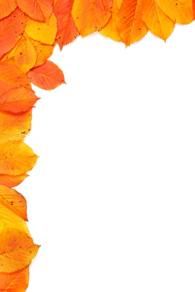 Kolorowy kącik jesień — Zdjęcie stockowe