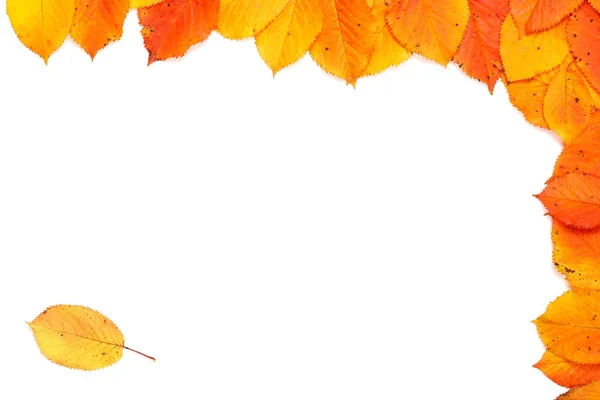 Jesienią ramki — Zdjęcie stockowe