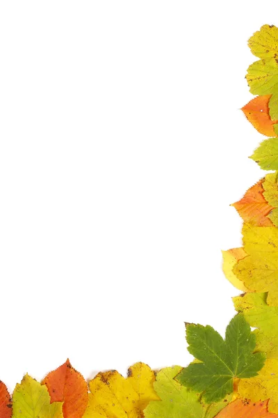 Kolorowy kącik jesień — Zdjęcie stockowe