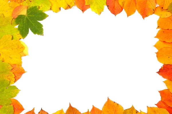 Colorful leaves frame — Stock Photo, Image