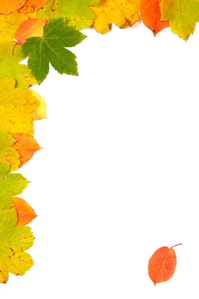 다채로운 코너 — 스톡 사진