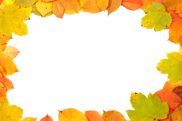Colorful leaves frame — Stock Photo, Image