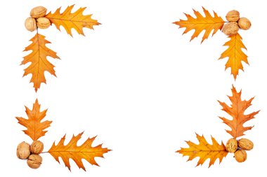 Autumn border clipart