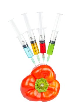 Red pepper with four syringes clipart