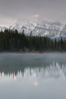 Herbert Lake, Amerika Birleşik Devletleri