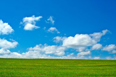 Green field, blue sky and white clouds clipart