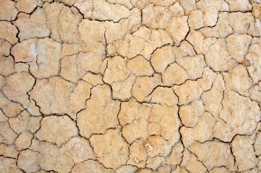 Parched earth clipart