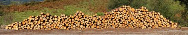 Panoramic view of logs stacked clipart