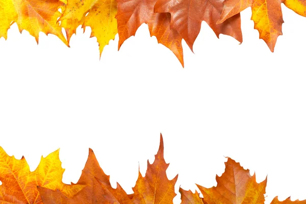Herbstgrenze — Stockfoto