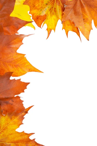 Autumn corner — Stock Photo, Image