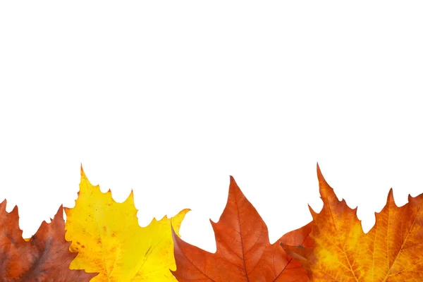 Herbstgrenze — Stockfoto