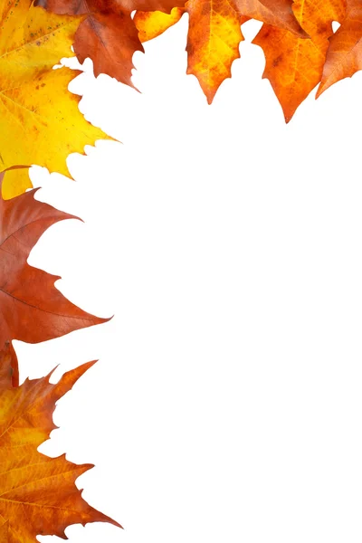 Podzimní roh — Stock fotografie