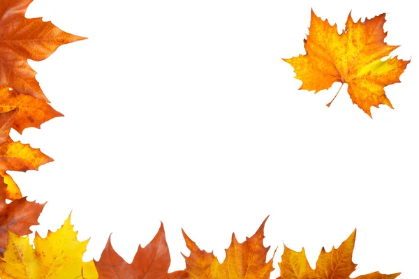 Podzimní roh — Stock fotografie