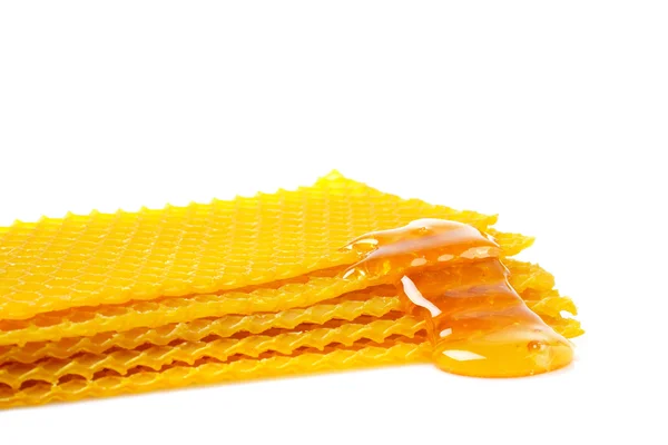 Honeycomb with honey — Stock Photo, Image