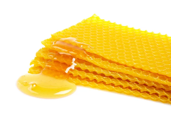 Honingraat met honing — Stockfoto